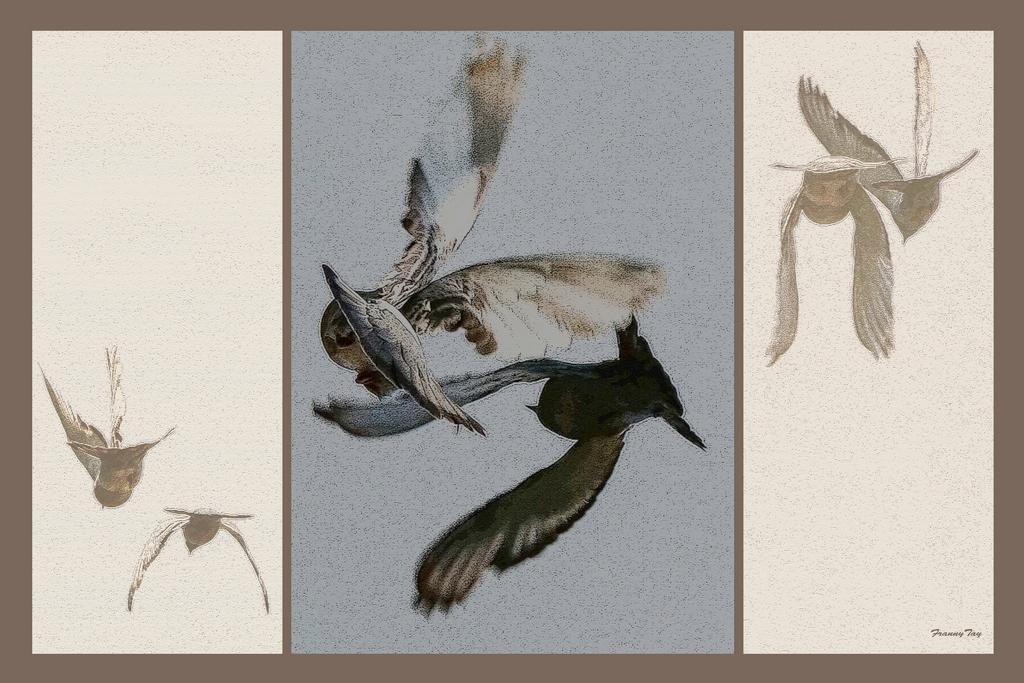 Graphisme en plein ciel copie 2